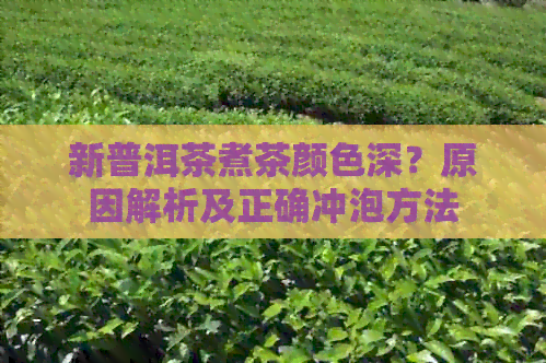 新普洱茶煮茶颜色深？原因解析及正确冲泡方法