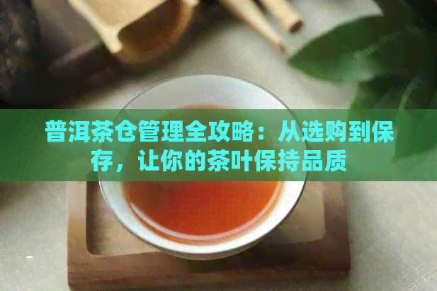 普洱茶仓管理全攻略：从选购到保存，让你的茶叶保持品质