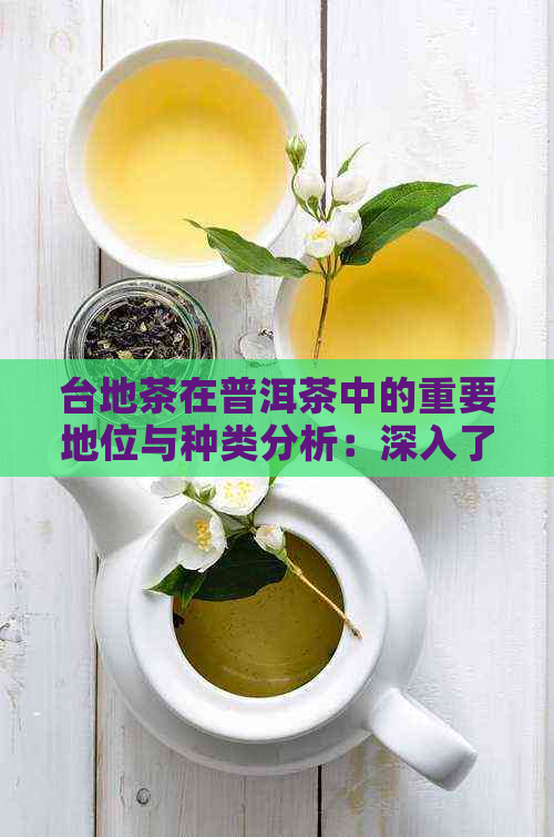 台地茶在普洱茶中的重要地位与种类分析：深入了解普洱茶的多元化成分