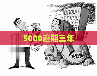 5000逾期三年