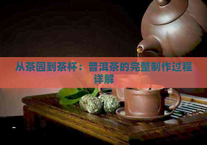 从茶园到茶杯：普洱茶的完整制作过程详解