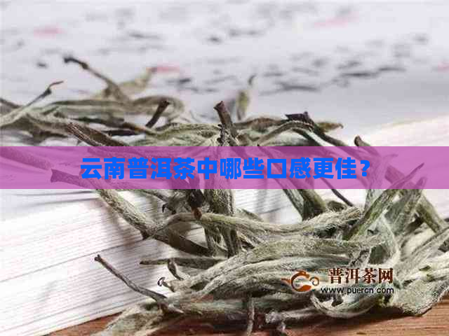 云南普洱茶中哪些口感更佳？