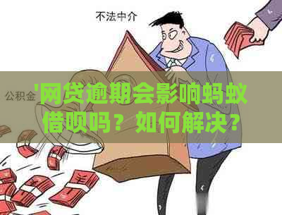 '网贷逾期会影响蚂蚁借呗吗？如何解决？'