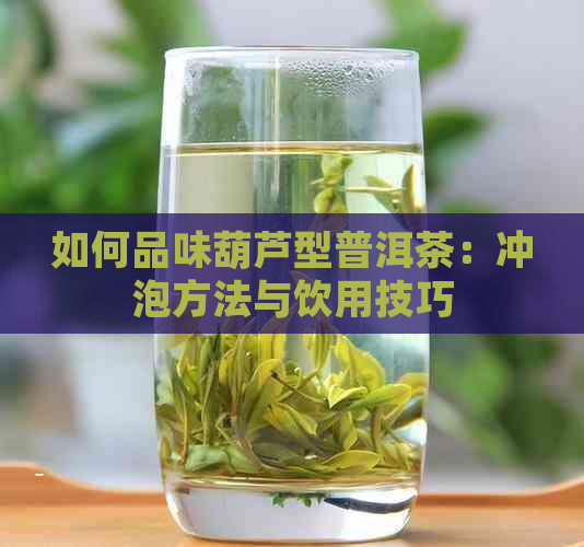 如何品味葫芦型普洱茶：冲泡方法与饮用技巧