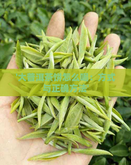 '大普洱茶饼怎么喝：方式与正确方法'