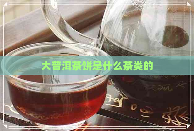 大普洱茶饼是什么茶类的