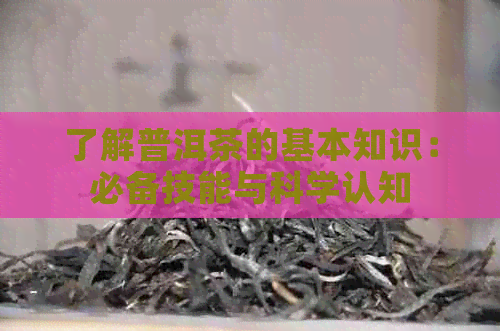 了解普洱茶的基本知识：必备技能与科学认知