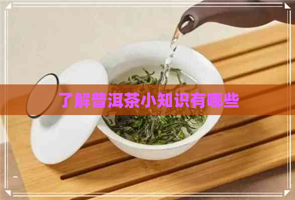 了解普洱茶小知识有哪些