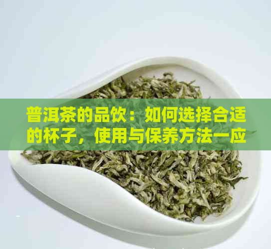 普洱茶的品饮：如何选择合适的杯子，使用与保养方法一应俱全