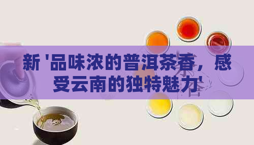 新 '品味浓的普洱茶香，感受云南的独特魅力'