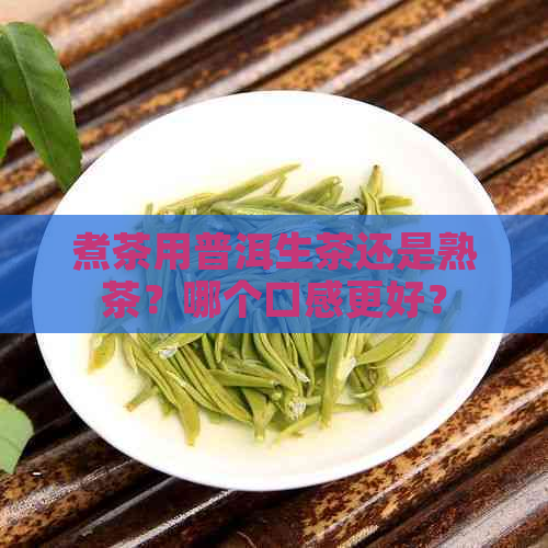 煮茶用普洱生茶还是熟茶？哪个口感更好？