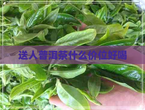 送人普洱茶什么价位好喝