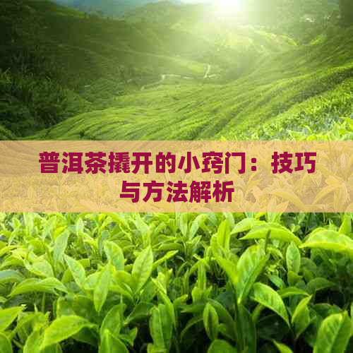 普洱茶撬开的小窍门：技巧与方法解析