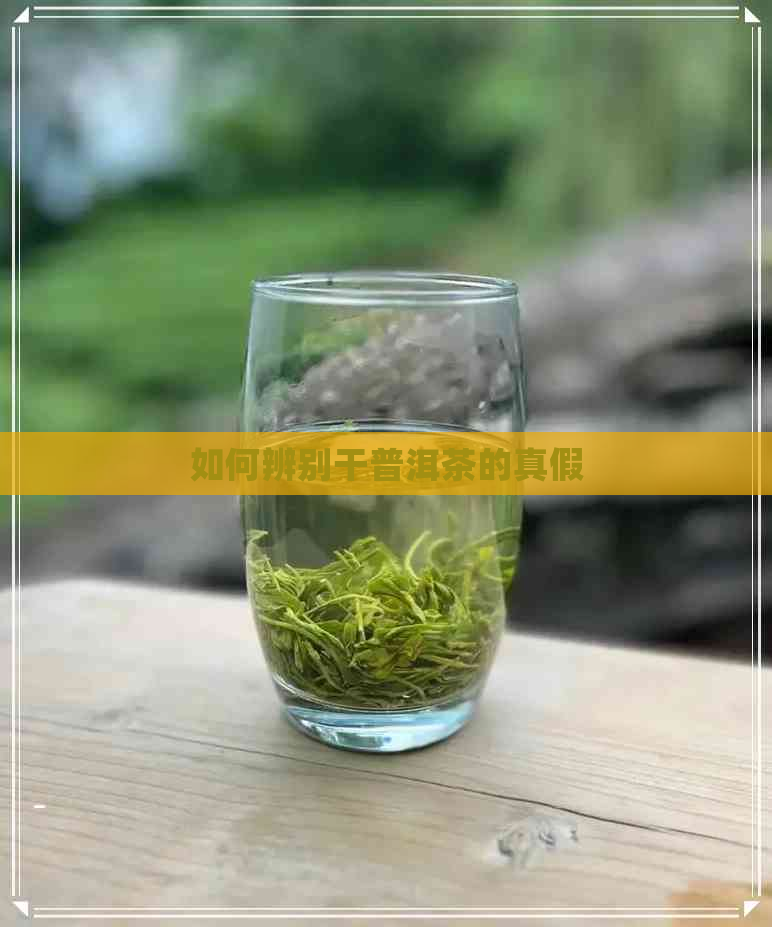 如何辨别干普洱茶的真假