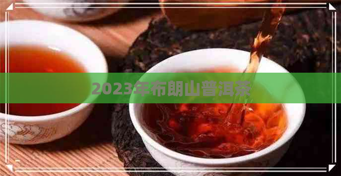 2023年布朗山普洱茶