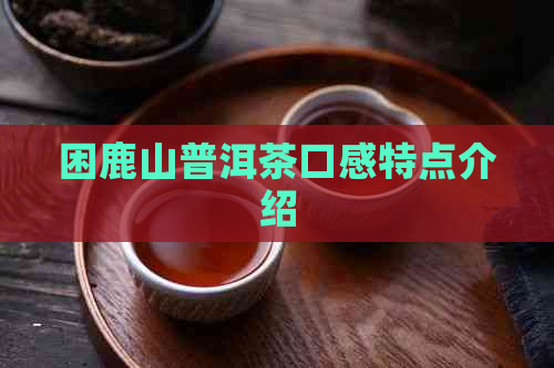 困鹿山普洱茶口感特点介绍