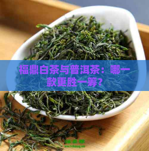 福鼎白茶与普洱茶：哪一款更胜一筹？