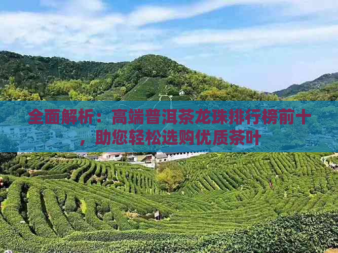 全面解析：高端普洱茶龙珠排行榜前十，助您轻松选购优质茶叶