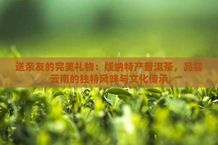 送亲友的完美礼物：版纳特产普洱茶，品尝云南的独特风味与文化传承