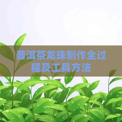 普洱茶龙珠制作全过程及工具方法