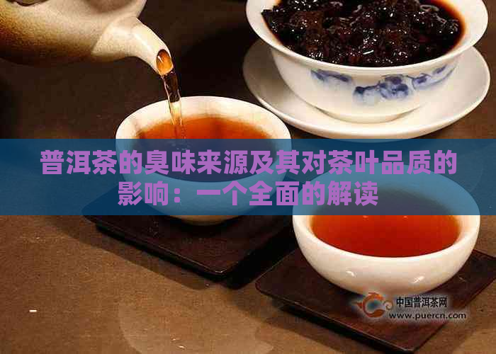 普洱茶的臭味来源及其对茶叶品质的影响：一个全面的解读