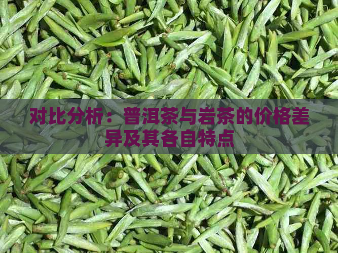 对比分析：普洱茶与岩茶的价格差异及其各自特点