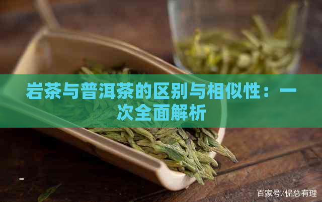 岩茶与普洱茶的区别与相似性：一次全面解析