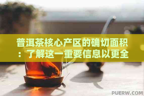 普洱茶核心产区的确切面积：了解这一重要信息以更全面地了解普洱茶产地