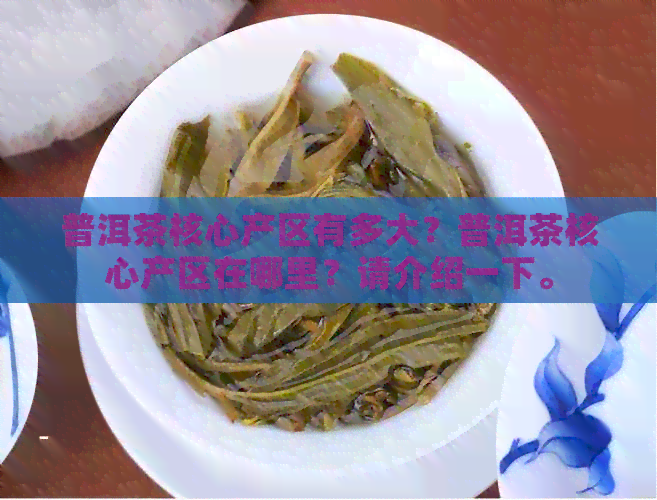 普洱茶核心产区有多大？普洱茶核心产区在哪里？请介绍一下。