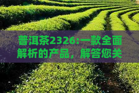 普洱茶2326:一款全面解析的产品，解答您关于普洱茶的所有疑问