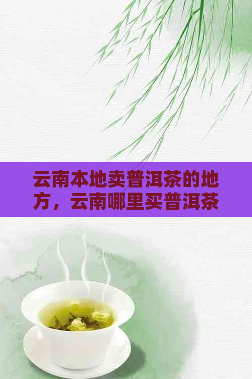 云南本地卖普洱茶的地方，云南哪里买普洱茶便宜，云南普洱茶专卖店。