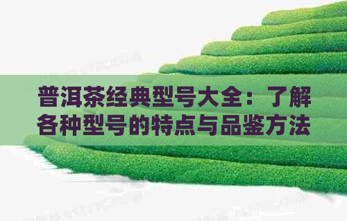 普洱茶经典型号大全：了解各种型号的特点与品鉴方法