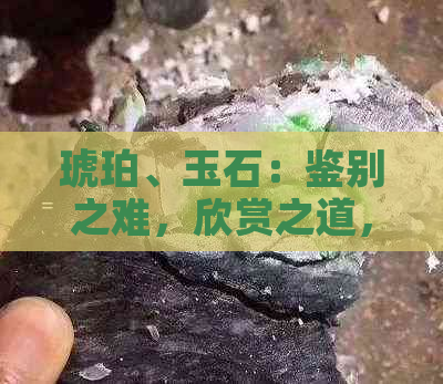 琥珀、玉石：鉴别之难，欣赏之道，以及它们在文化与历史中的深远影响