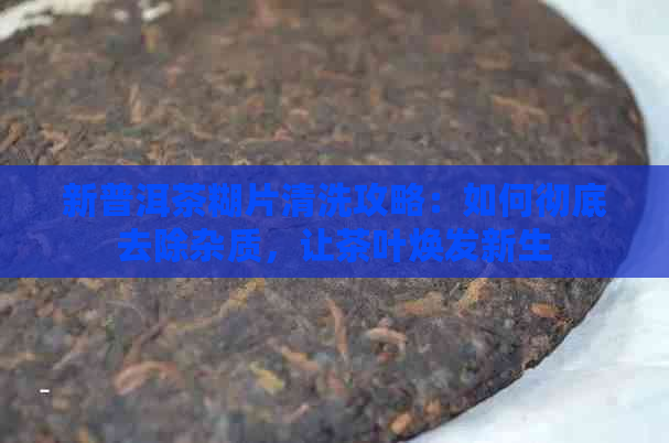 新普洱茶糊片清洗攻略：如何彻底去除杂质，让茶叶焕发新生