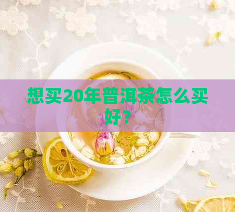 想买20年普洱茶怎么买好？