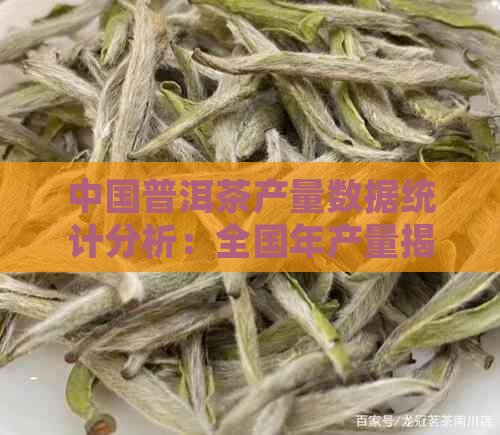 中国普洱茶产量数据统计分析：全国年产量揭示行业趋势