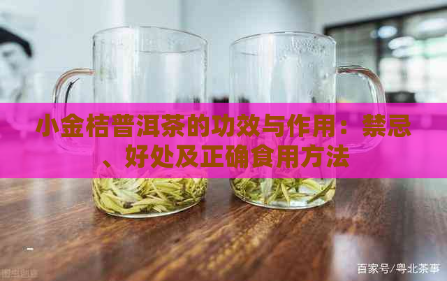 小金桔普洱茶的功效与作用：禁忌、好处及正确食用方法