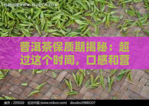 普洱茶保质期揭秘：超过这个时间，口感和营养大打折扣！