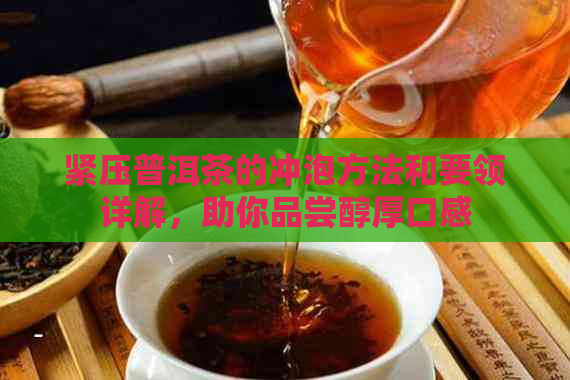 紧压普洱茶的冲泡方法和要领详解，助你品尝醇厚口感