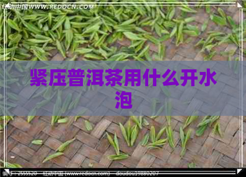 紧压普洱茶用什么开水泡