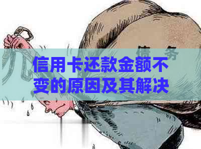 信用卡还款金额不变的原因及其解决方案，解答用户关于信用卡还款的各种疑问