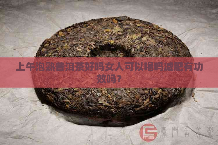 上午泡熟普洱茶好吗女人可以喝吗减肥有功效吗？