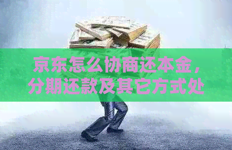 京东怎么协商还本金，分期还款及其它方式处理