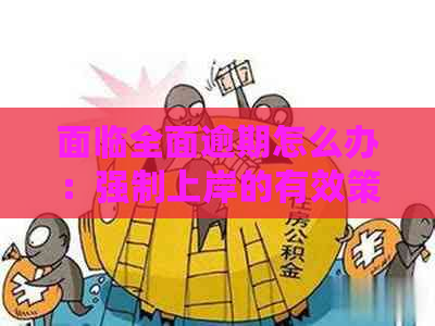 面临全面逾期怎么办：强制上岸的有效策略与应对方法