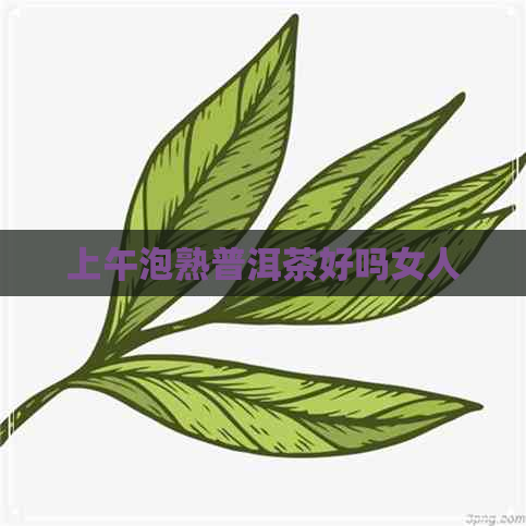 上午泡熟普洱茶好吗女人