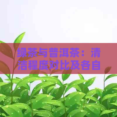 绿茶与普洱茶：清洁程度对比及各自特点解析，为什么绿茶更胜一筹？