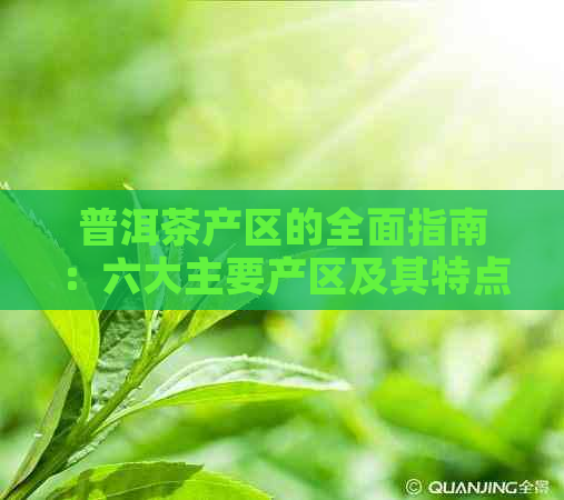 普洱茶产区的全面指南：六大主要产区及其特点详解