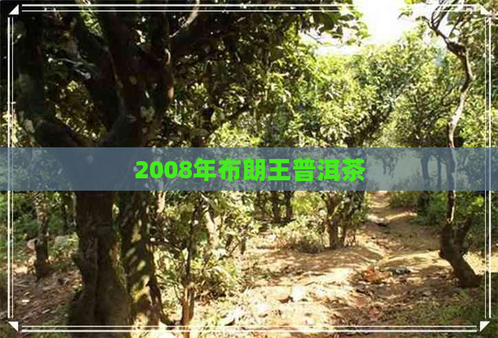 2008年布朗王普洱茶