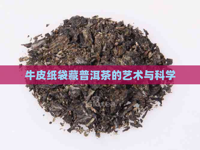 牛皮纸袋藏普洱茶的艺术与科学