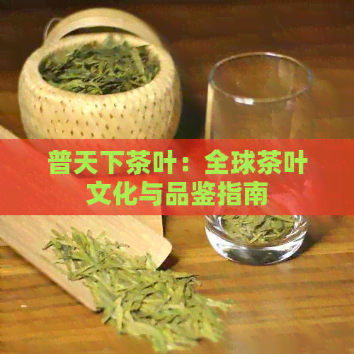 普天下茶叶：全球茶叶文化与品鉴指南